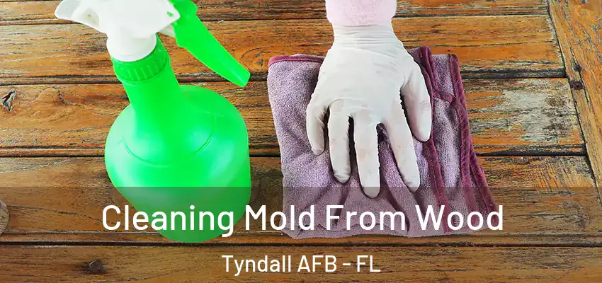  Cleaning Mold From Wood Tyndall AFB - FL