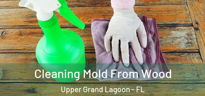  Cleaning Mold From Wood Upper Grand Lagoon - FL