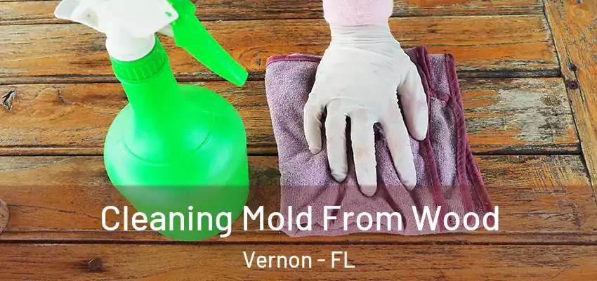  Cleaning Mold From Wood Vernon - FL