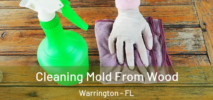  Cleaning Mold From Wood Warrington - FL