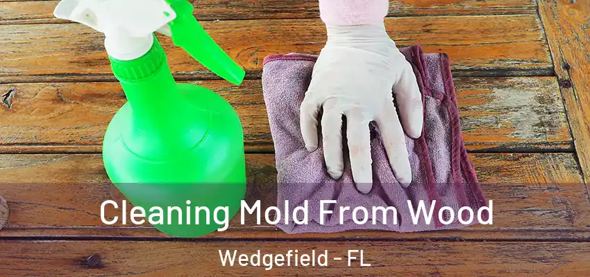 Cleaning Mold From Wood Wedgefield - FL
