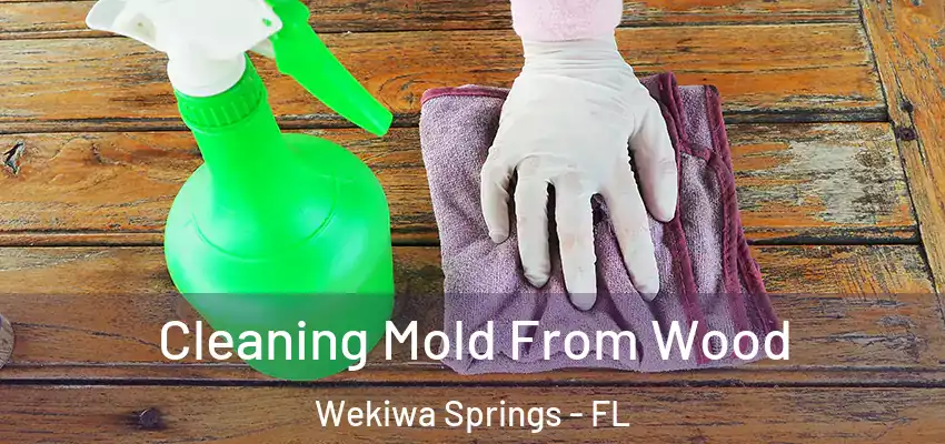  Cleaning Mold From Wood Wekiwa Springs - FL