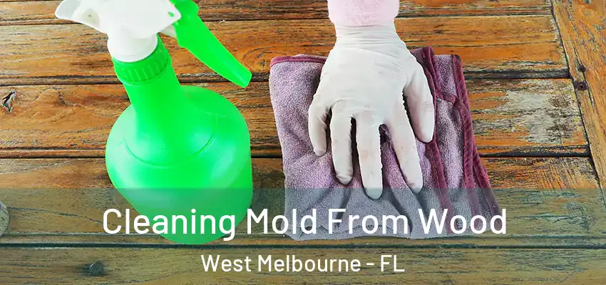  Cleaning Mold From Wood West Melbourne - FL