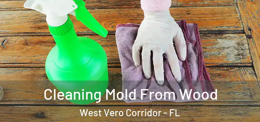  Cleaning Mold From Wood West Vero Corridor - FL