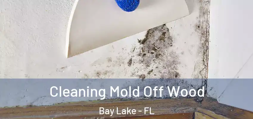 Cleaning Mold Off Wood Bay Lake - FL