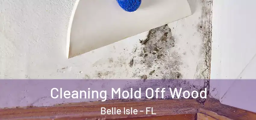  Cleaning Mold Off Wood Belle Isle - FL