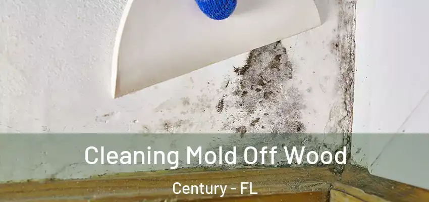  Cleaning Mold Off Wood Century - FL