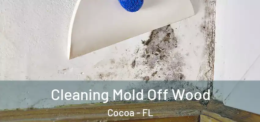  Cleaning Mold Off Wood Cocoa - FL