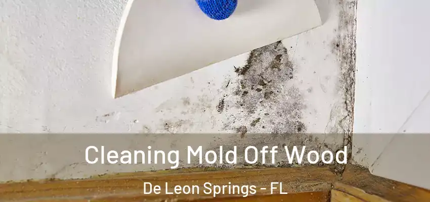  Cleaning Mold Off Wood De Leon Springs - FL
