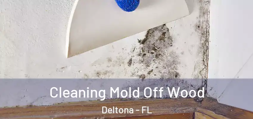  Cleaning Mold Off Wood Deltona - FL