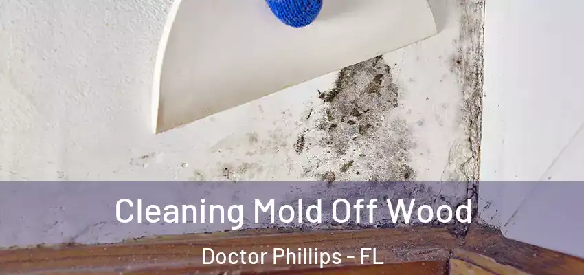  Cleaning Mold Off Wood Doctor Phillips - FL