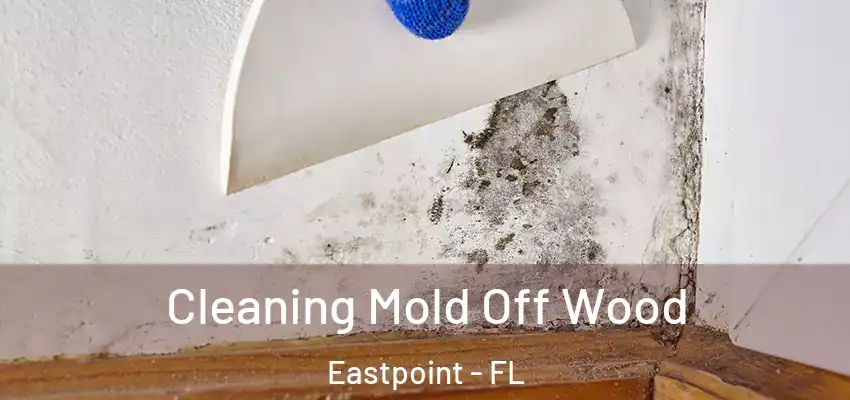  Cleaning Mold Off Wood Eastpoint - FL