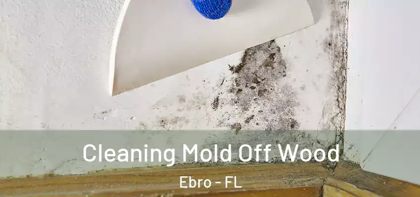  Cleaning Mold Off Wood Ebro - FL