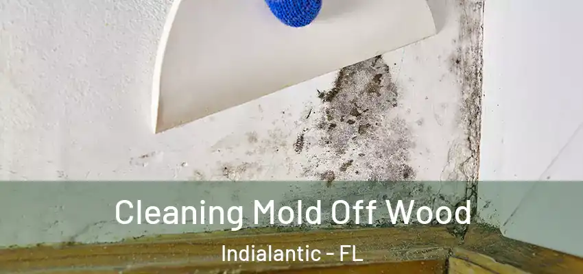  Cleaning Mold Off Wood Indialantic - FL