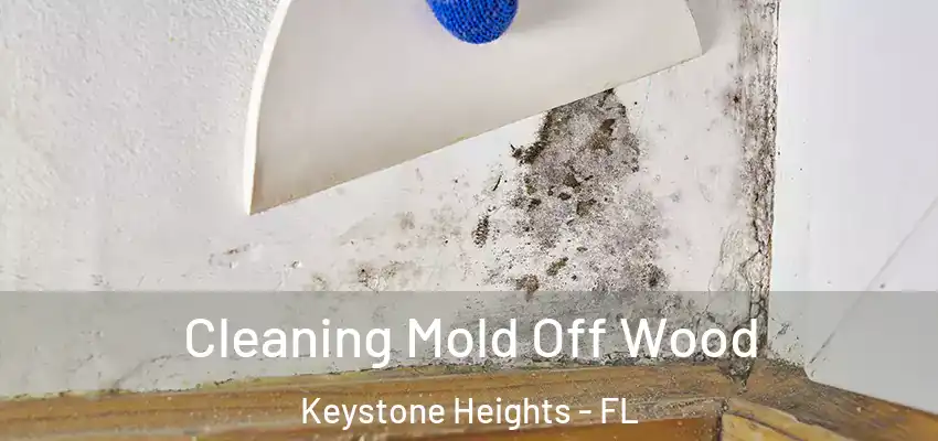  Cleaning Mold Off Wood Keystone Heights - FL