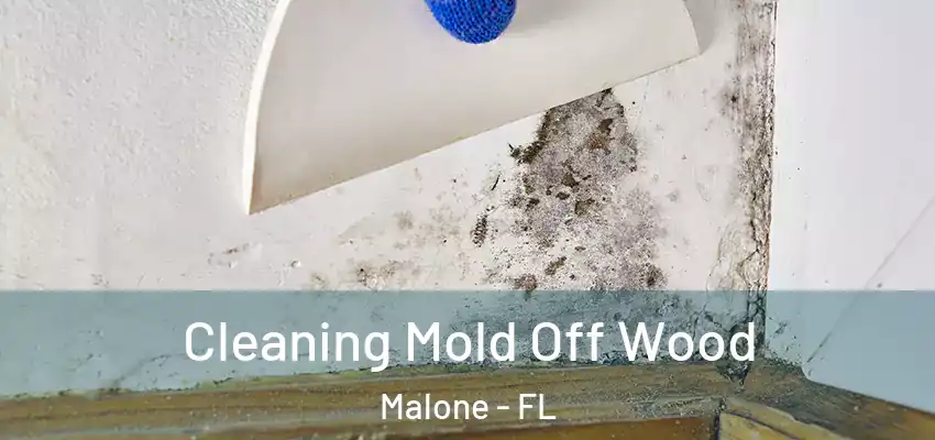  Cleaning Mold Off Wood Malone - FL