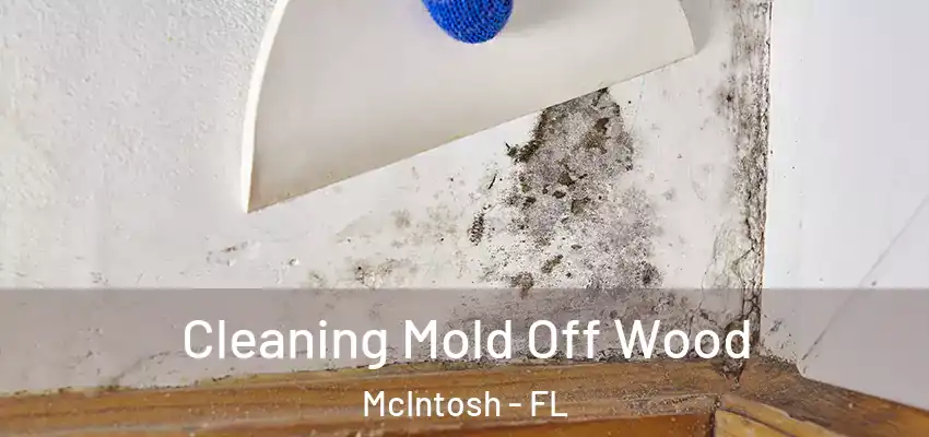  Cleaning Mold Off Wood McIntosh - FL