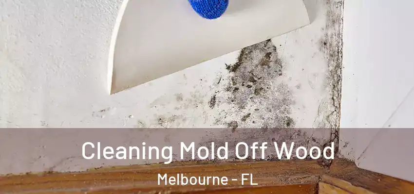Cleaning Mold Off Wood Melbourne - FL
