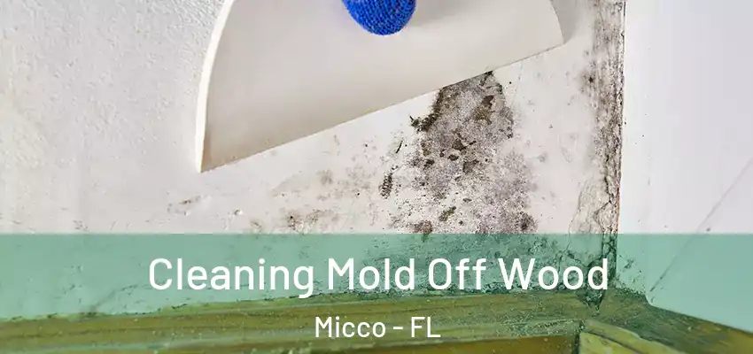 Cleaning Mold Off Wood Micco - FL