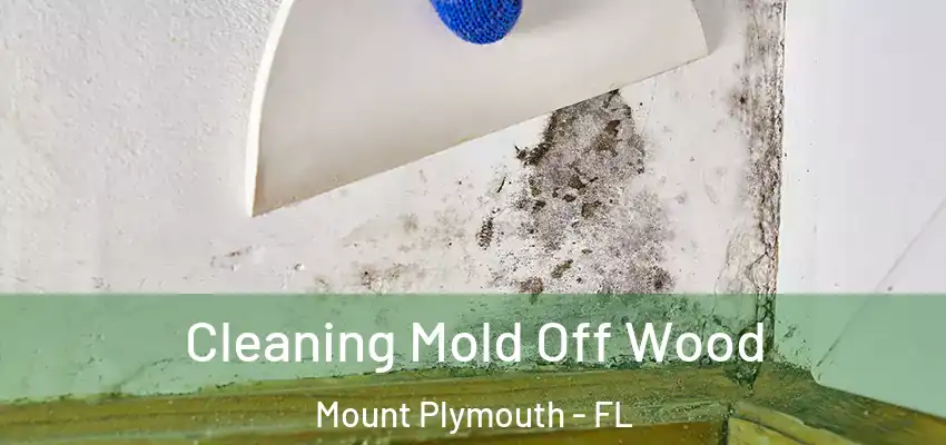  Cleaning Mold Off Wood Mount Plymouth - FL