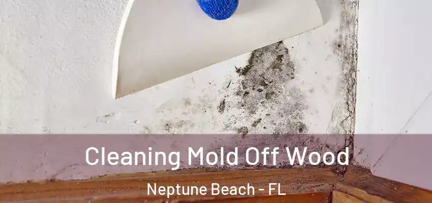  Cleaning Mold Off Wood Neptune Beach - FL