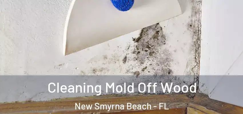  Cleaning Mold Off Wood New Smyrna Beach - FL