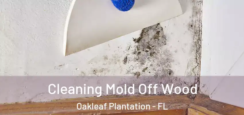 Cleaning Mold Off Wood Oakleaf Plantation - FL