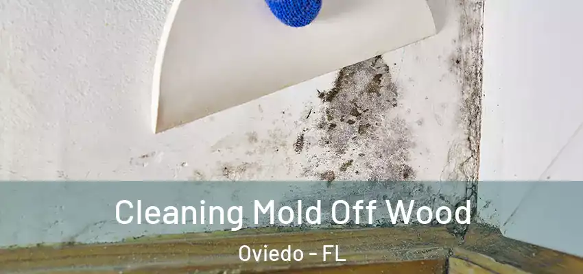  Cleaning Mold Off Wood Oviedo - FL