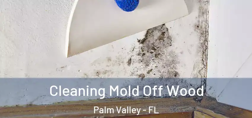  Cleaning Mold Off Wood Palm Valley - FL