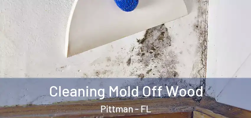  Cleaning Mold Off Wood Pittman - FL