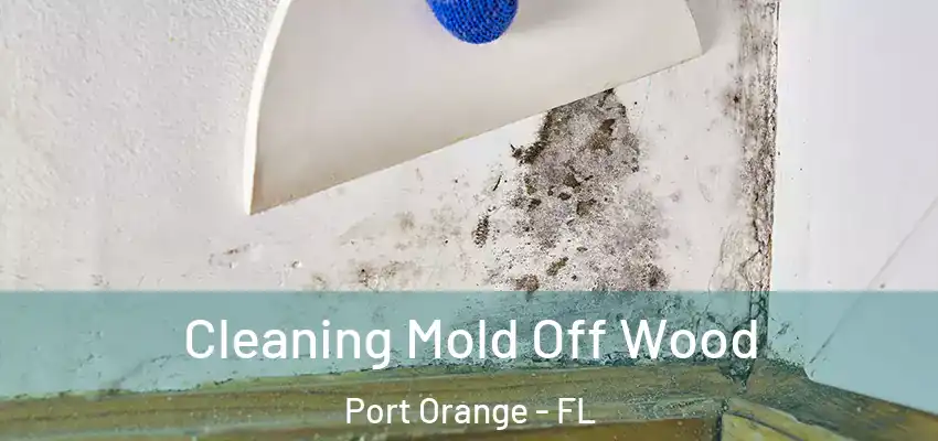  Cleaning Mold Off Wood Port Orange - FL