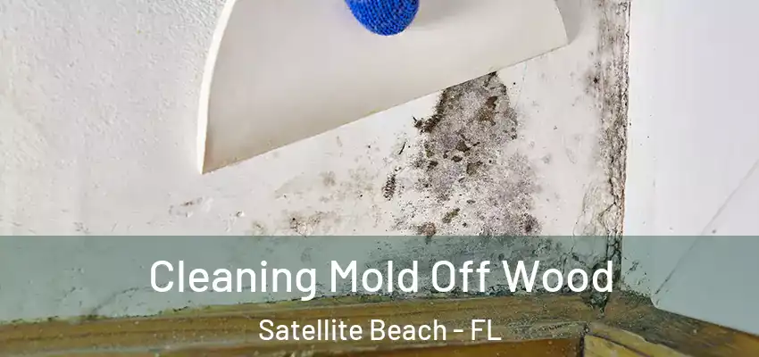  Cleaning Mold Off Wood Satellite Beach - FL