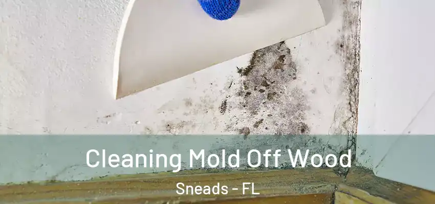 Cleaning Mold Off Wood Sneads - FL
