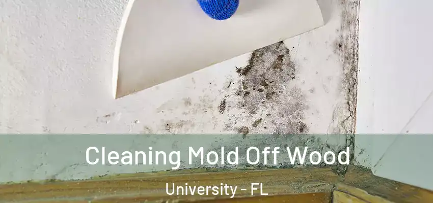  Cleaning Mold Off Wood University - FL