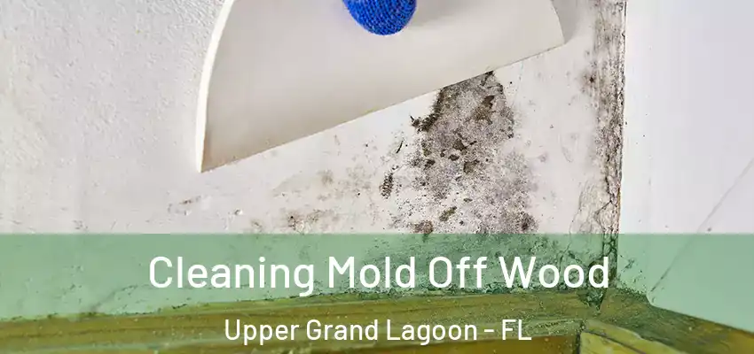  Cleaning Mold Off Wood Upper Grand Lagoon - FL