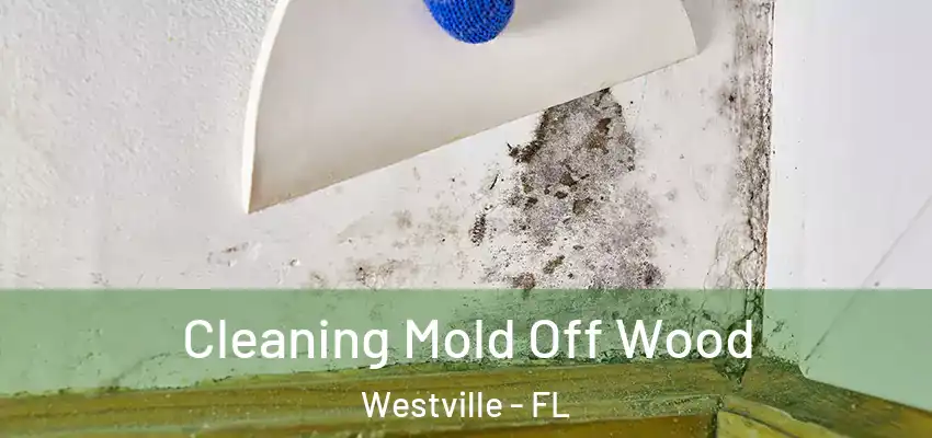 Cleaning Mold Off Wood Westville - FL