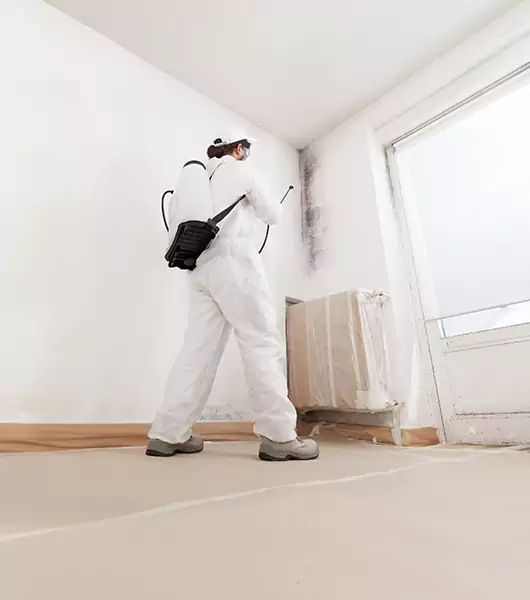 Specialists in All Areas of Mold Remediation and Water Damage Restoration in Panama City, FL
