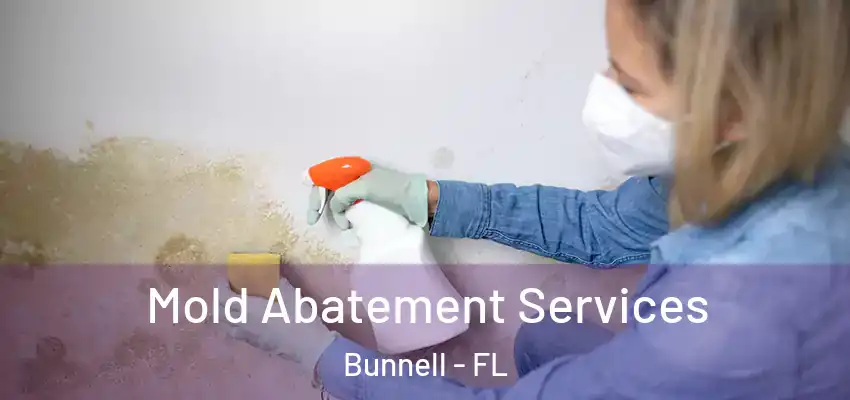  Mold Abatement Services Bunnell - FL