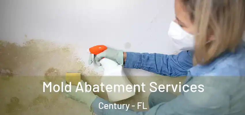  Mold Abatement Services Century - FL