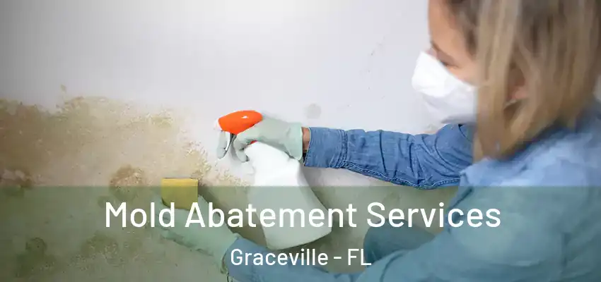  Mold Abatement Services Graceville - FL