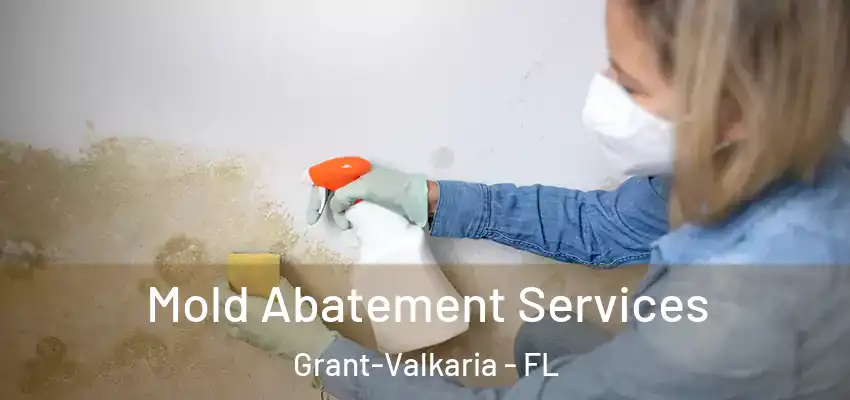  Mold Abatement Services Grant-Valkaria - FL