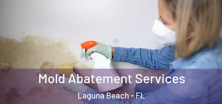 Mold Abatement Services Laguna Beach - FL