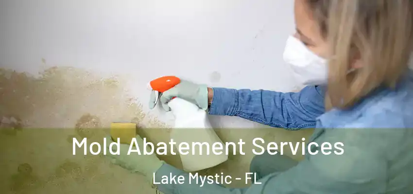 Mold Abatement Services Lake Mystic - FL