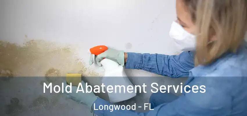 Mold Abatement Services Longwood - FL