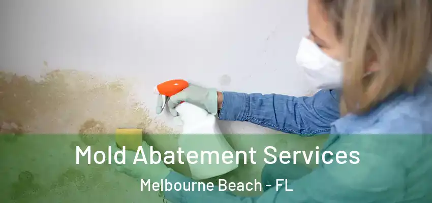 Mold Abatement Services Melbourne Beach - FL