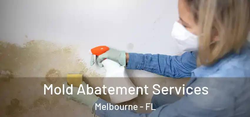 Mold Abatement Services Melbourne - FL