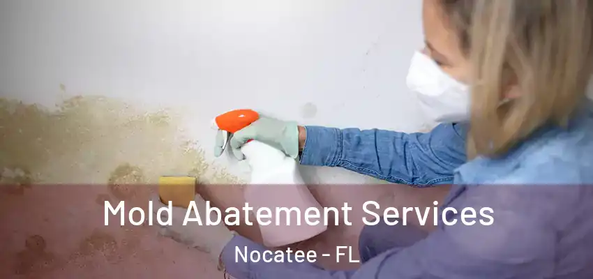 Mold Abatement Services Nocatee - FL