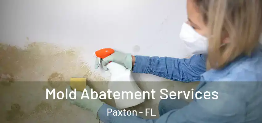  Mold Abatement Services Paxton - FL