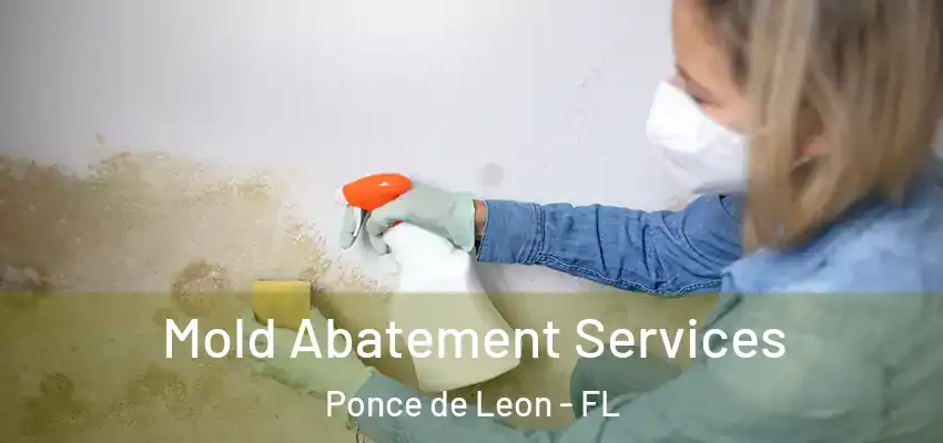 Mold Abatement Services Ponce de Leon - FL