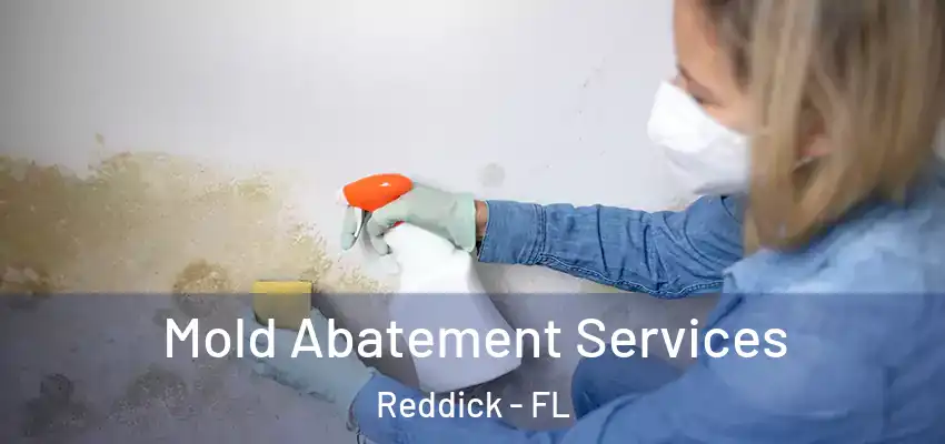 Mold Abatement Services Reddick - FL